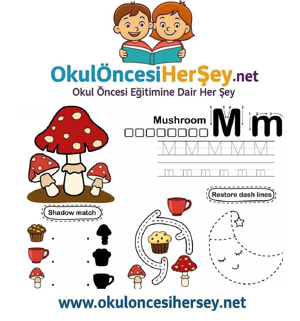 Çizgi Çalışmaları