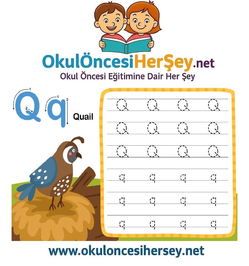 Çizgi Çalışmaları