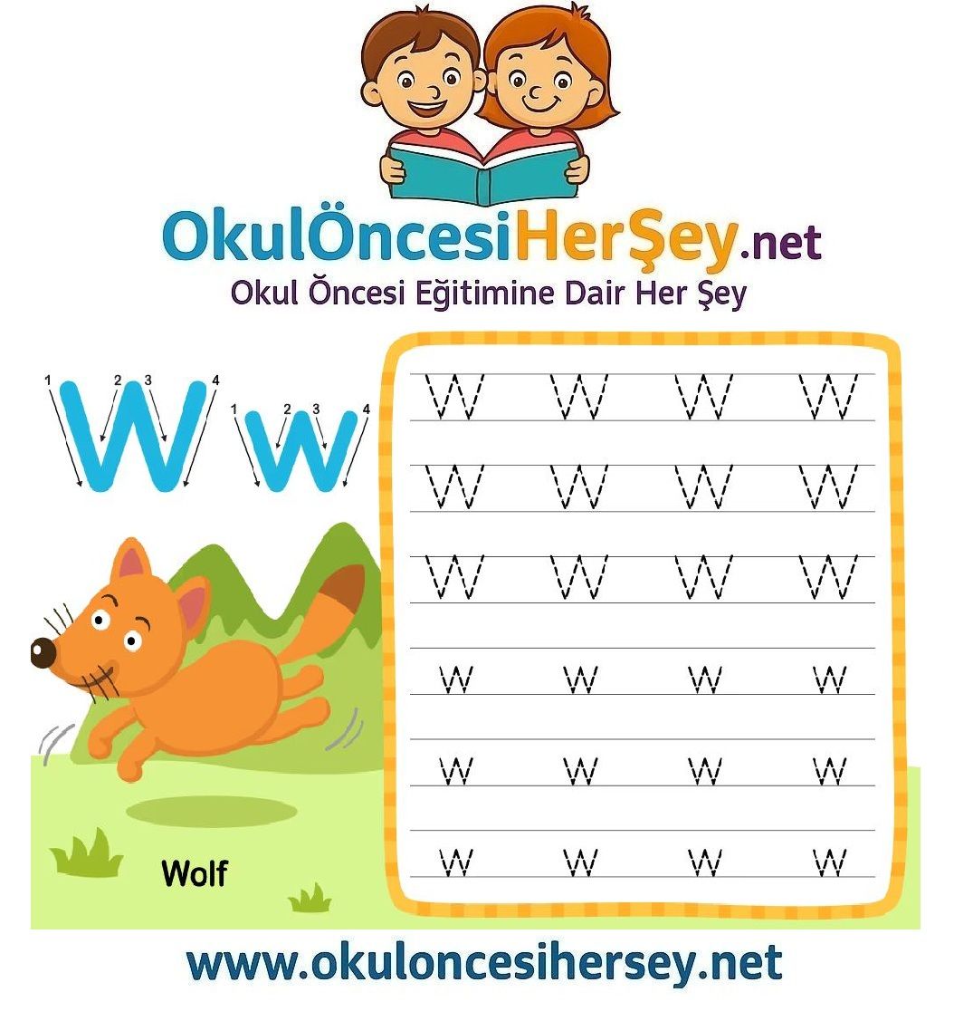 Çizgi Çalışmaları