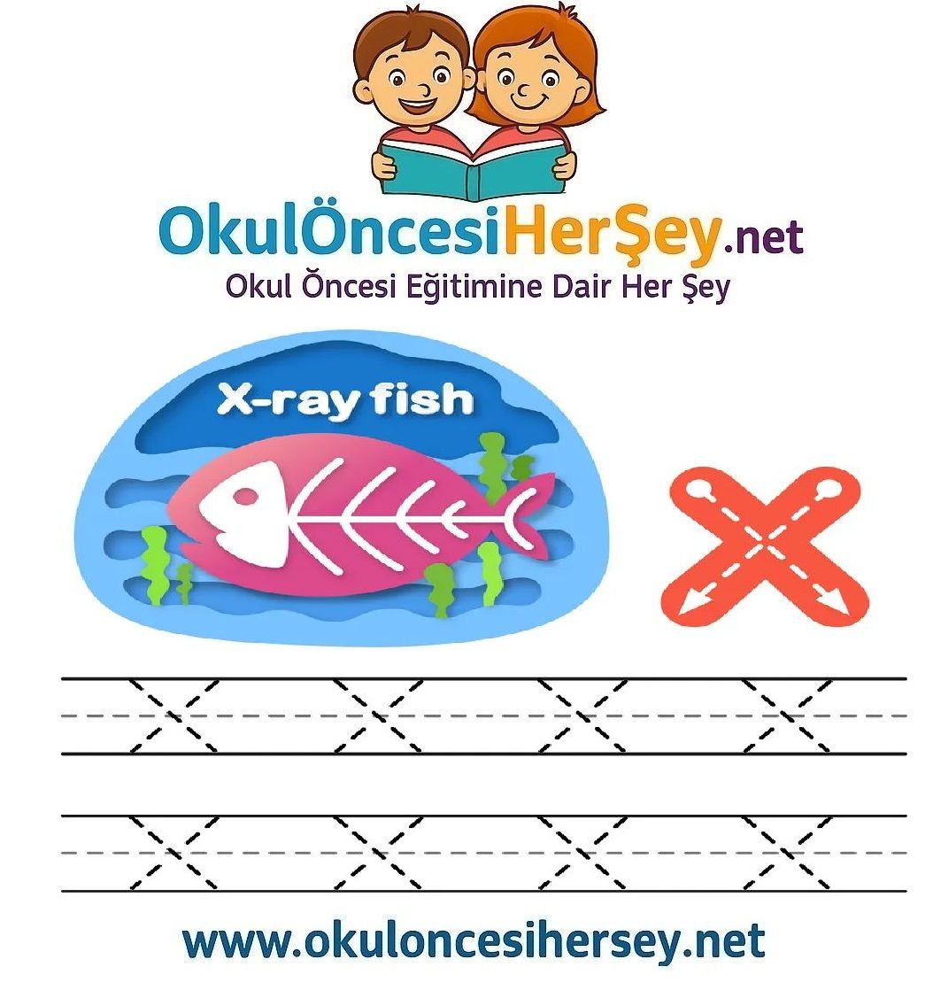 Çizgi Çalışmaları