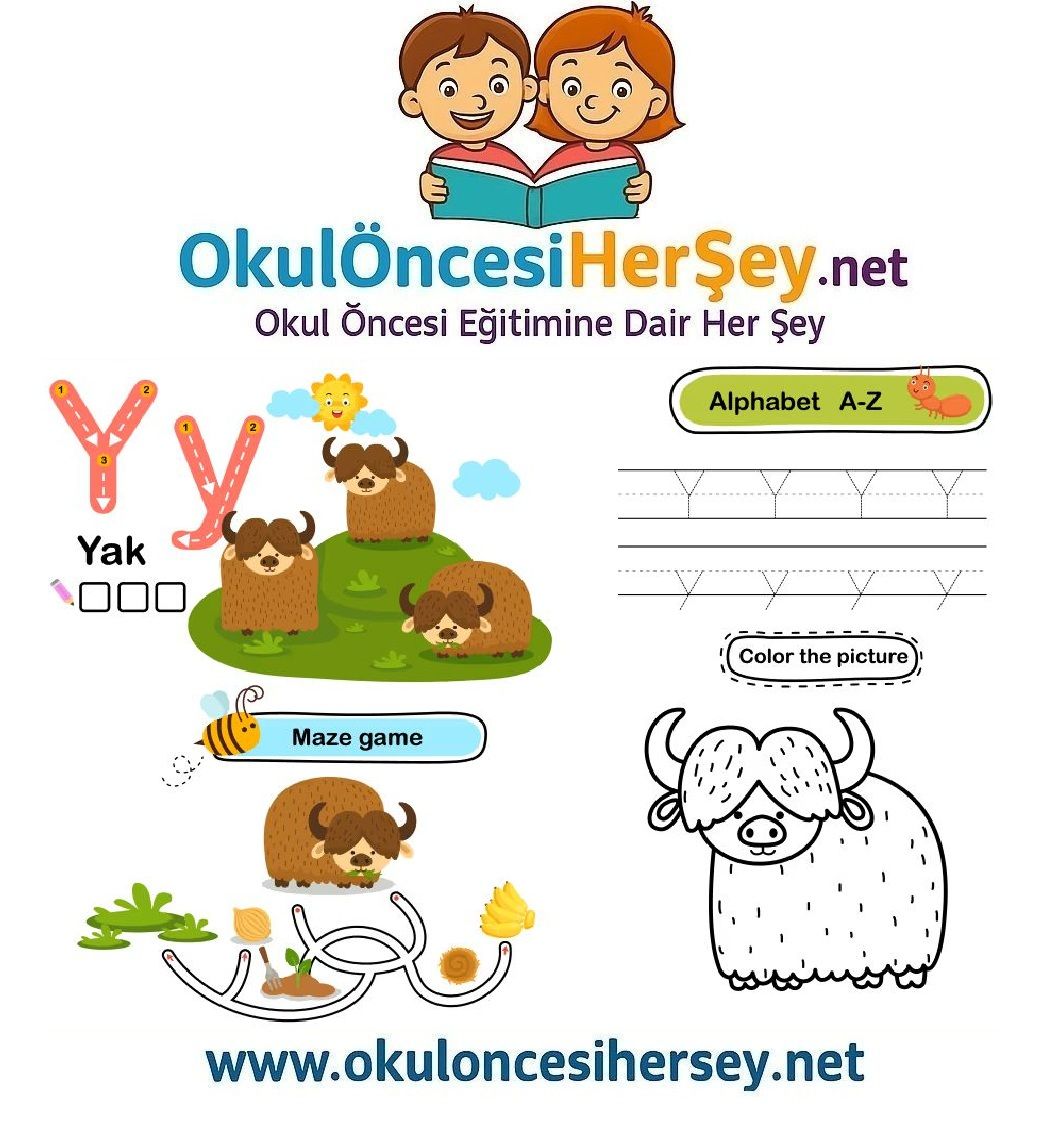 Çizgi Çalışmaları