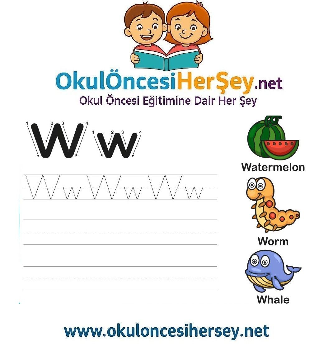 Çizgi Çalışmaları