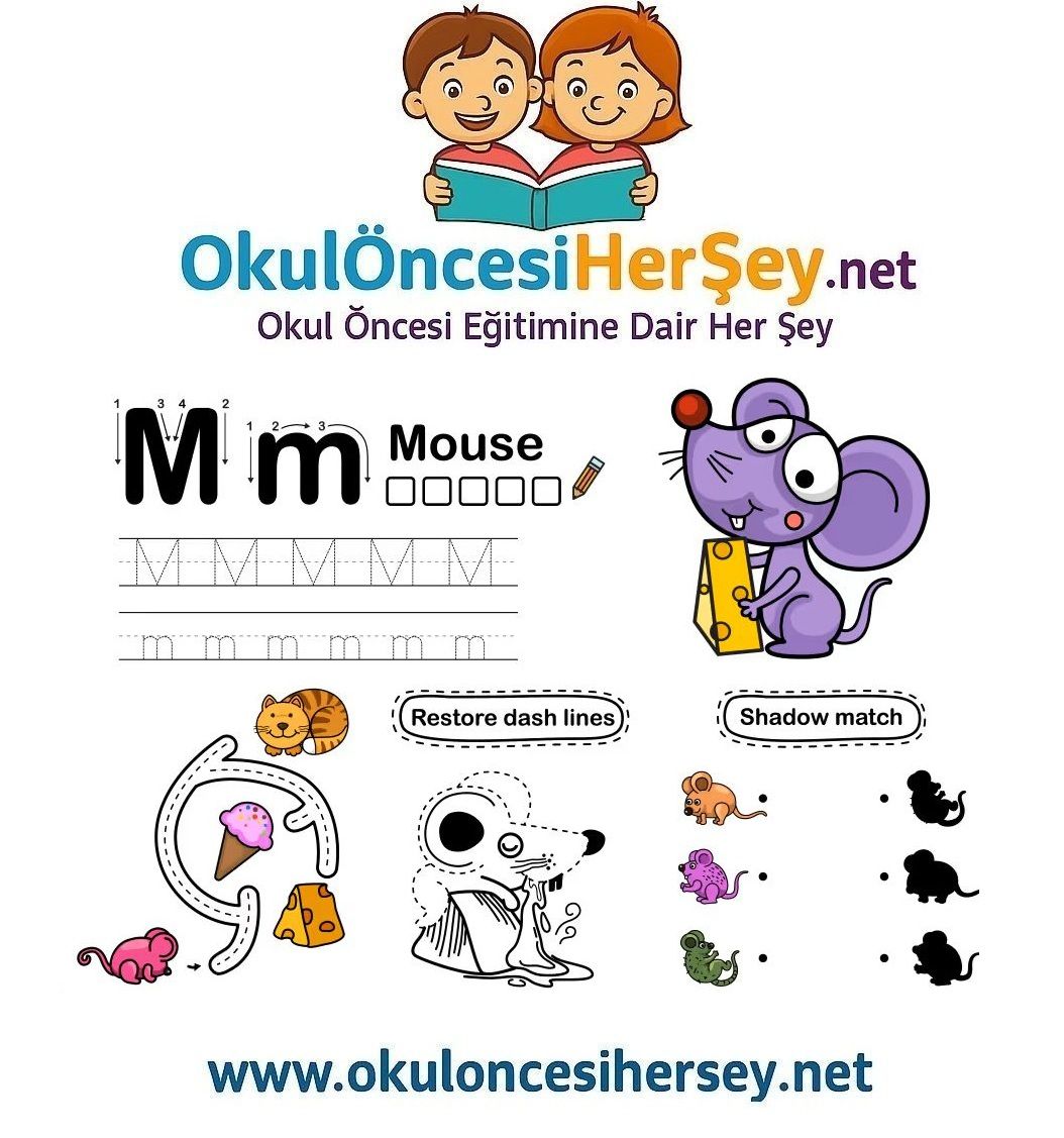 Çizgi Çalışmaları