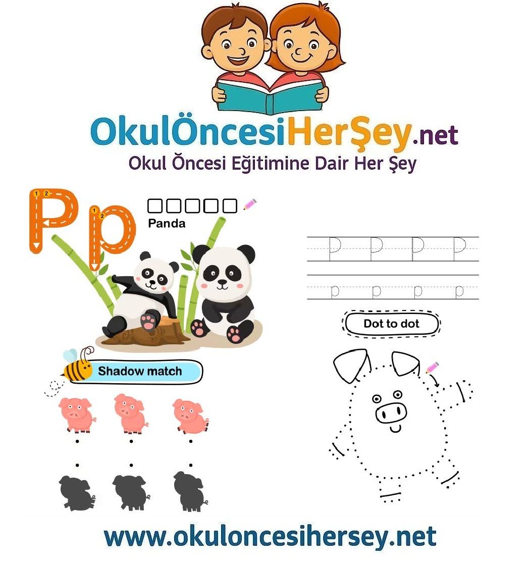 Çizgi Çalışmaları