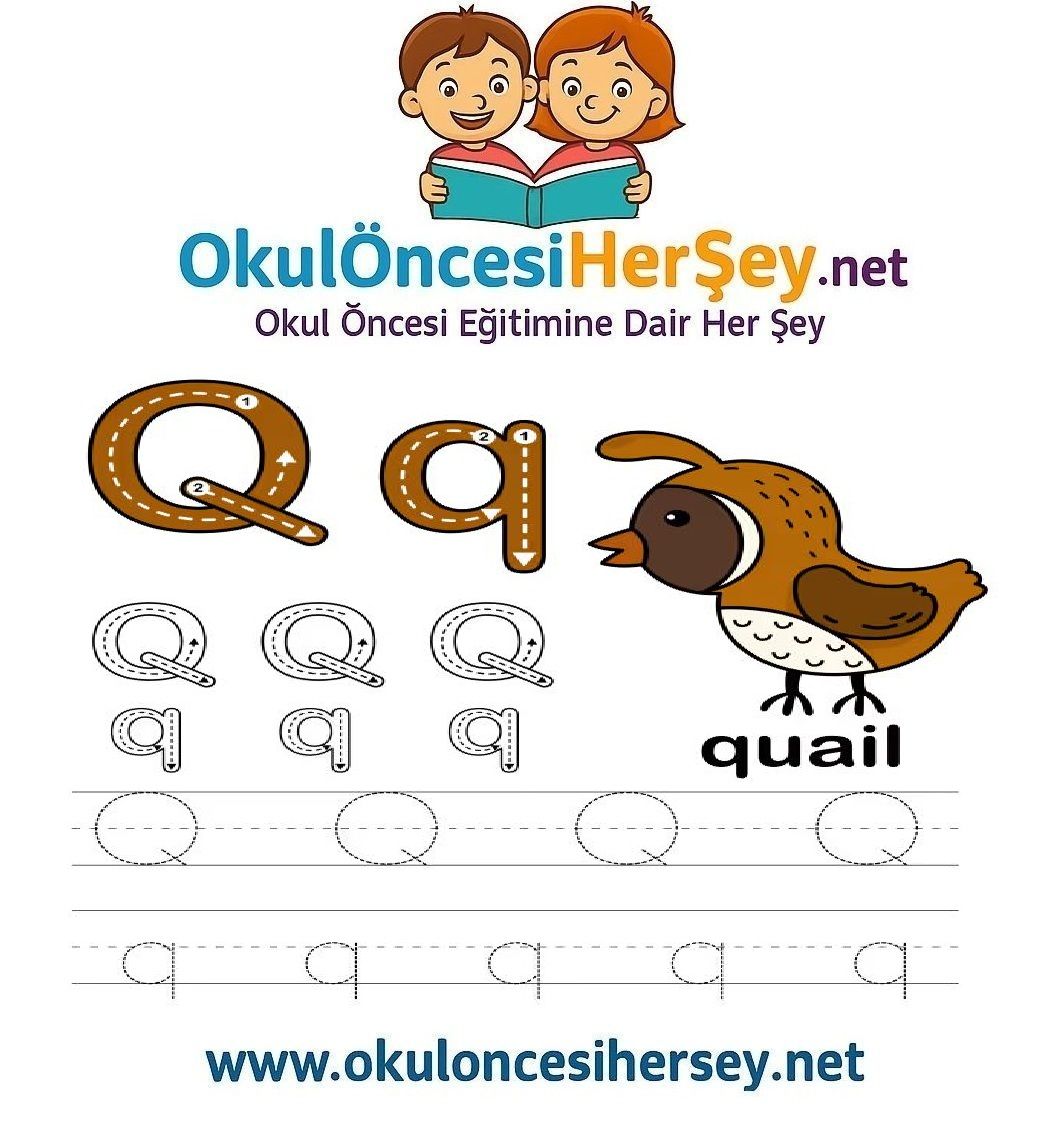 Çizgi Çalışmaları