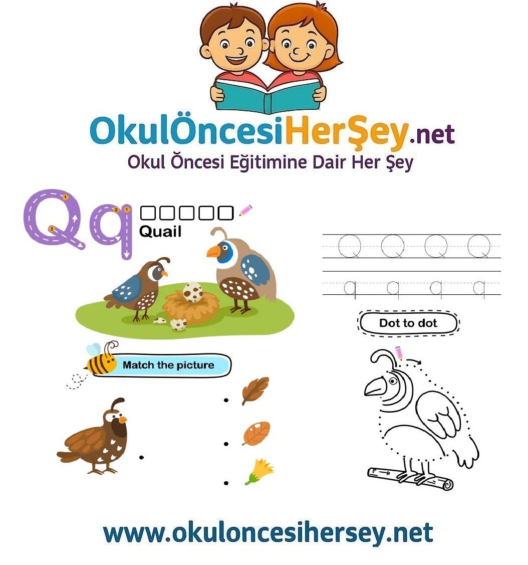 Çizgi Çalışmaları