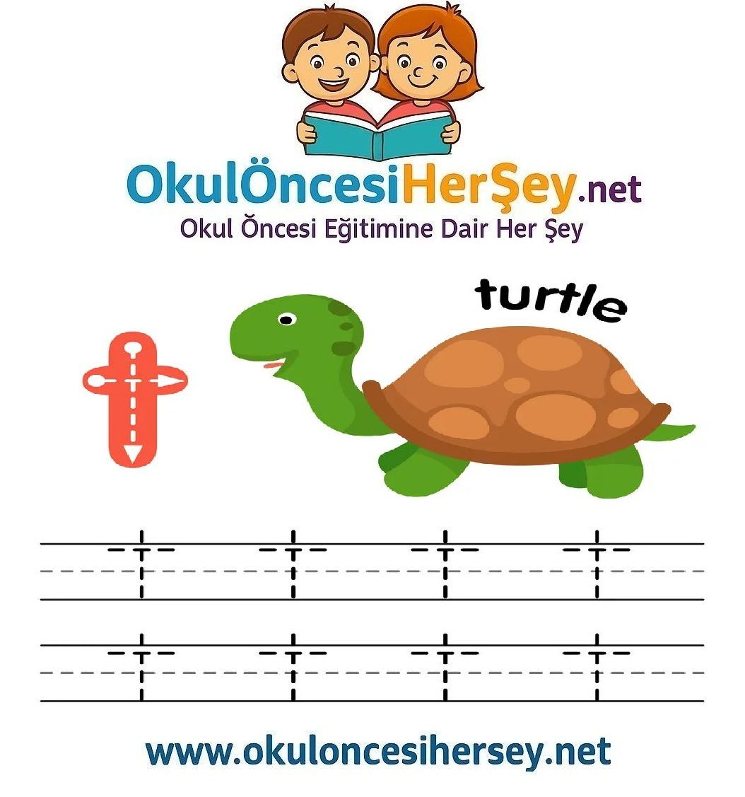 Çizgi Çalışmaları