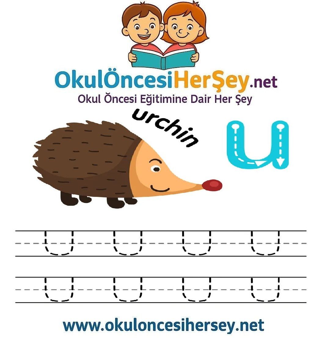 Çizgi Çalışmaları