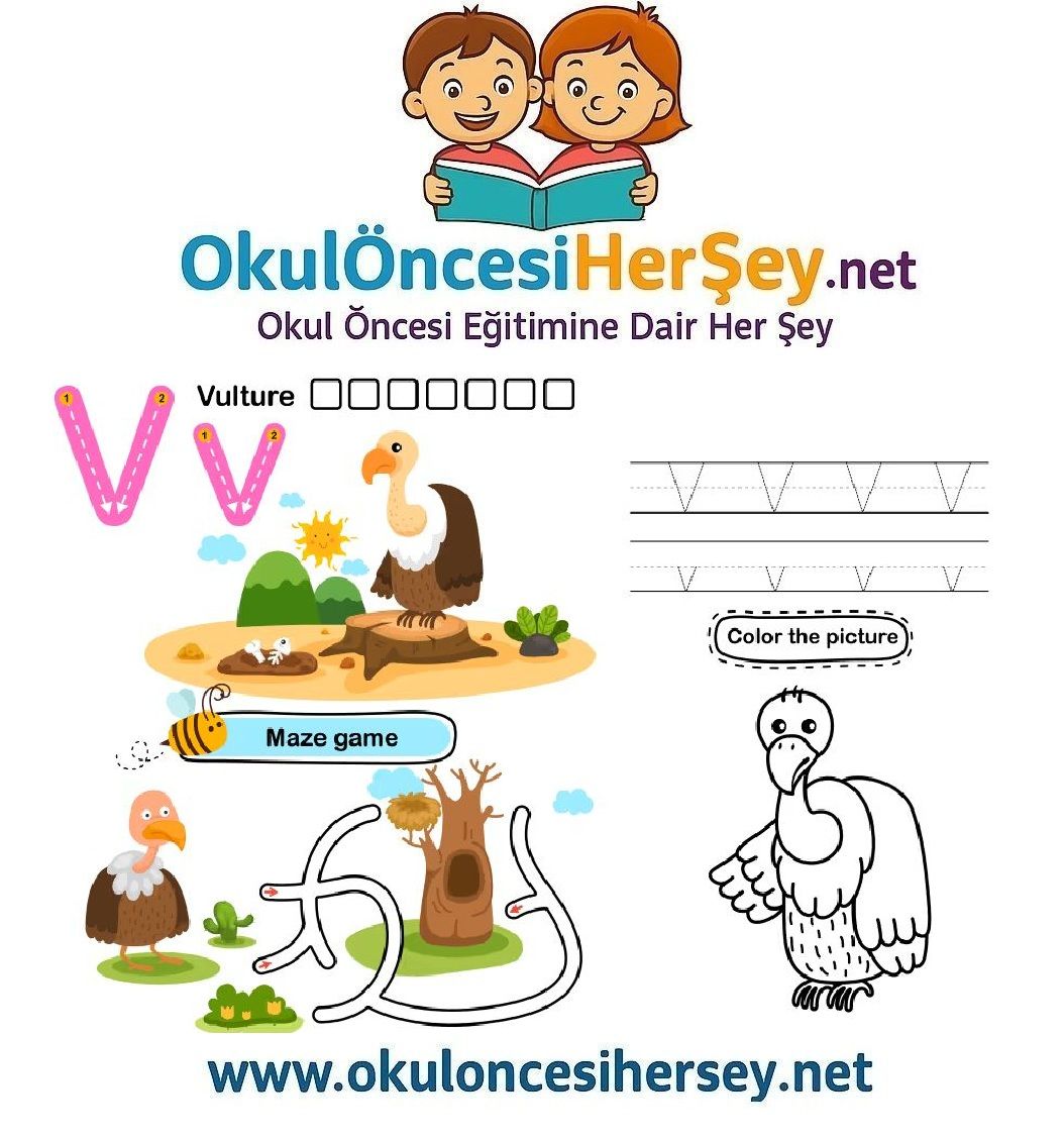 Çizgi Çalışmaları