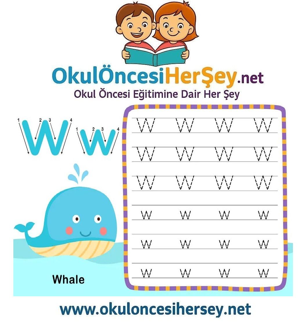 Çizgi Çalışmaları