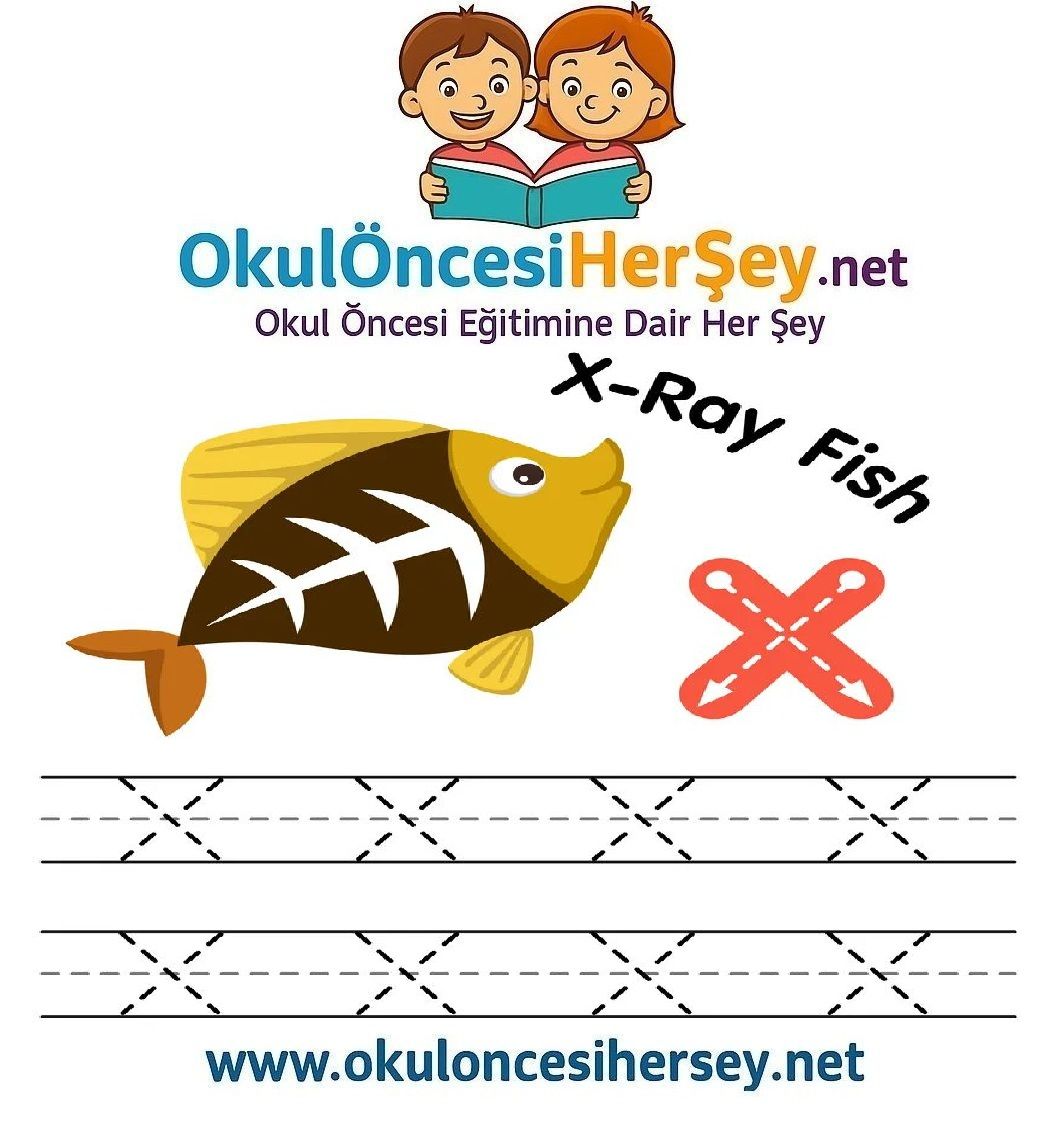 Çizgi Çalışmaları