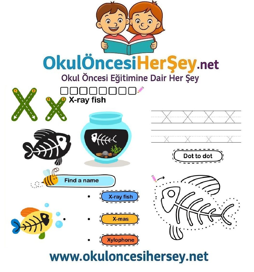 Çizgi Çalışmaları