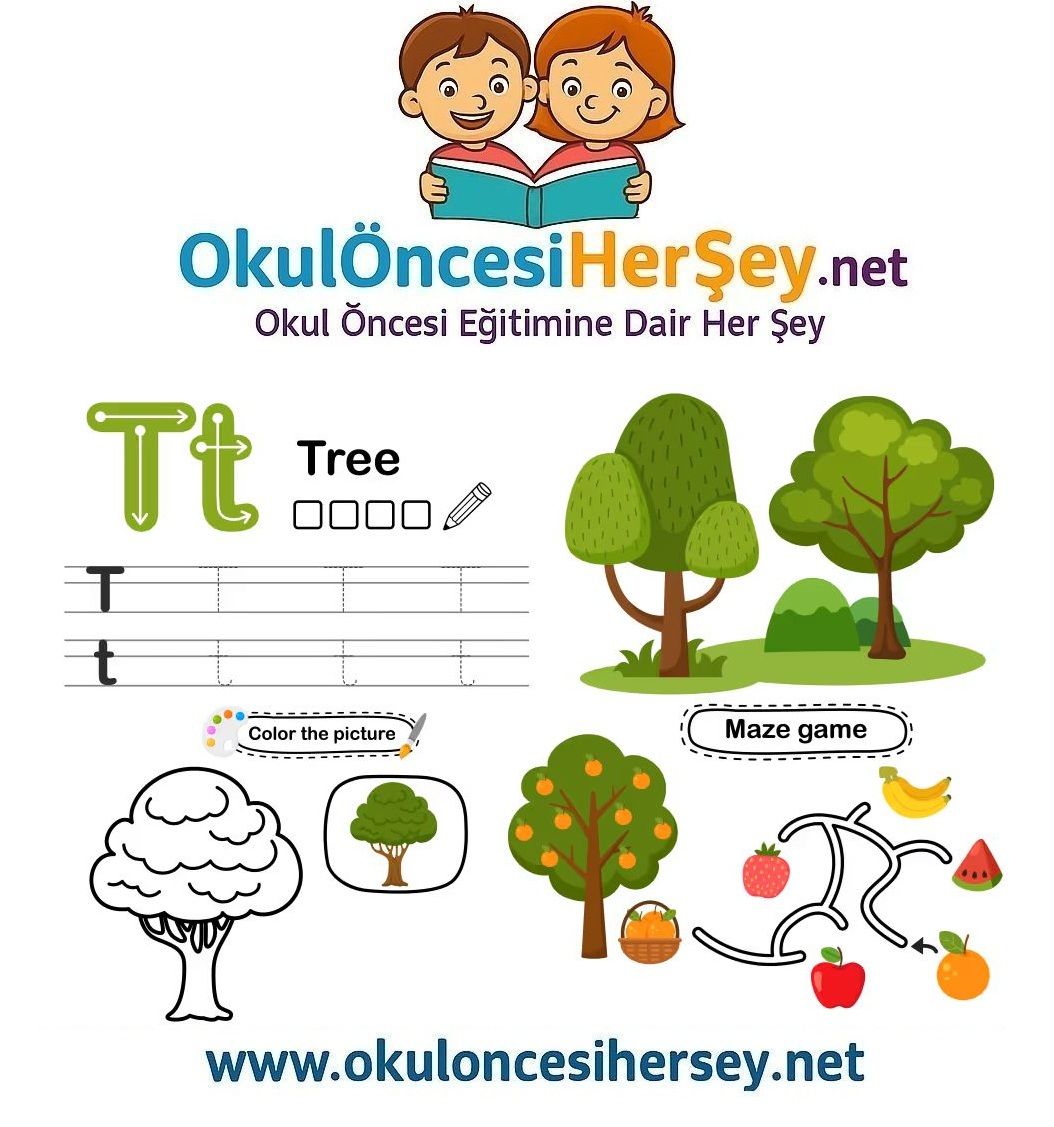 Çizgi Çalışmaları