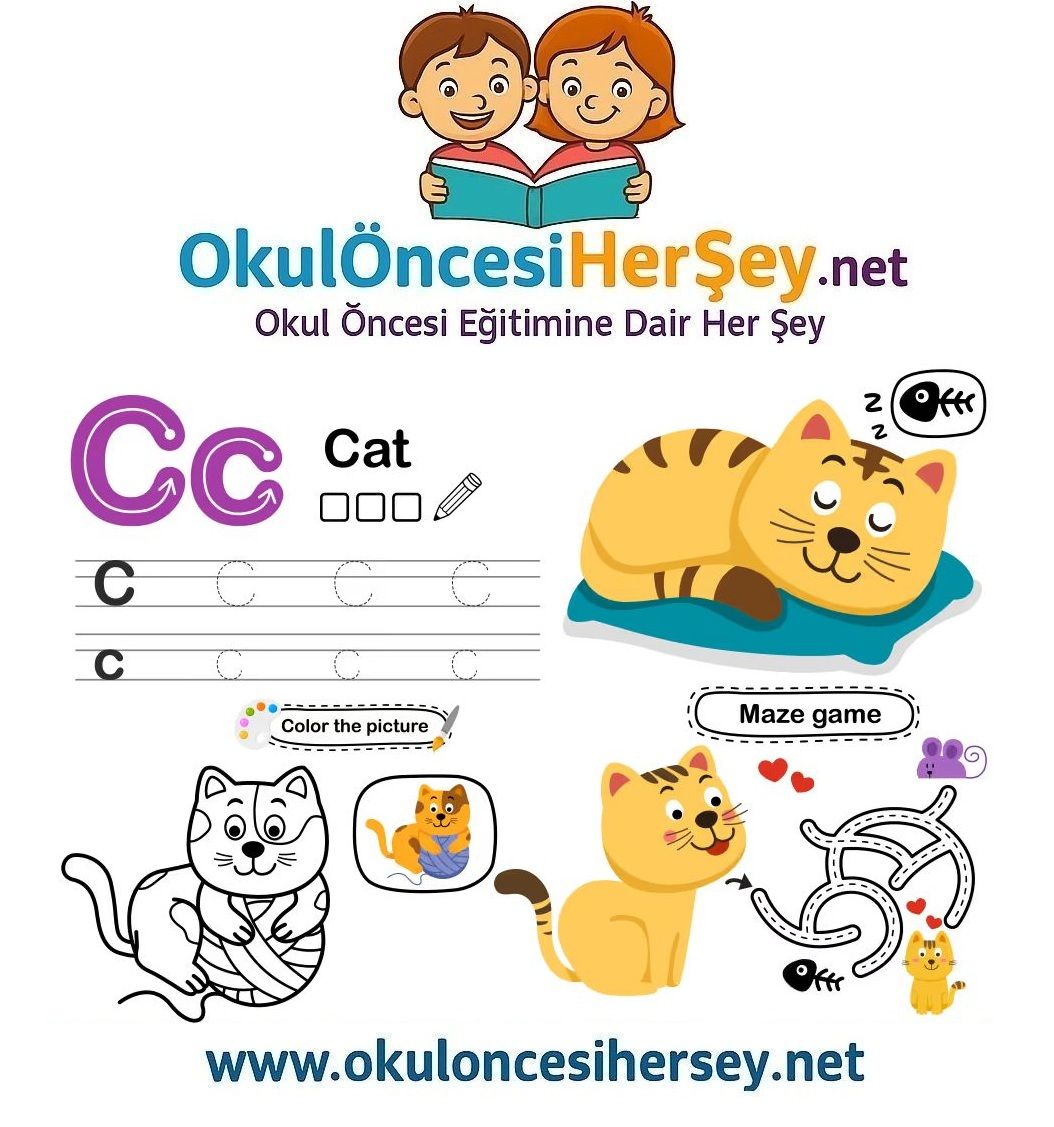 Çizgi Çalışmaları