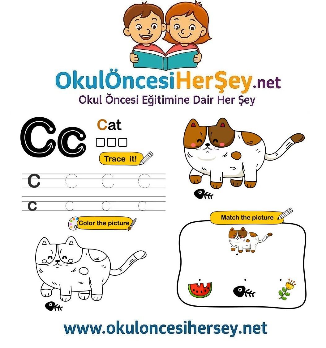 Çizgi Çalışmaları