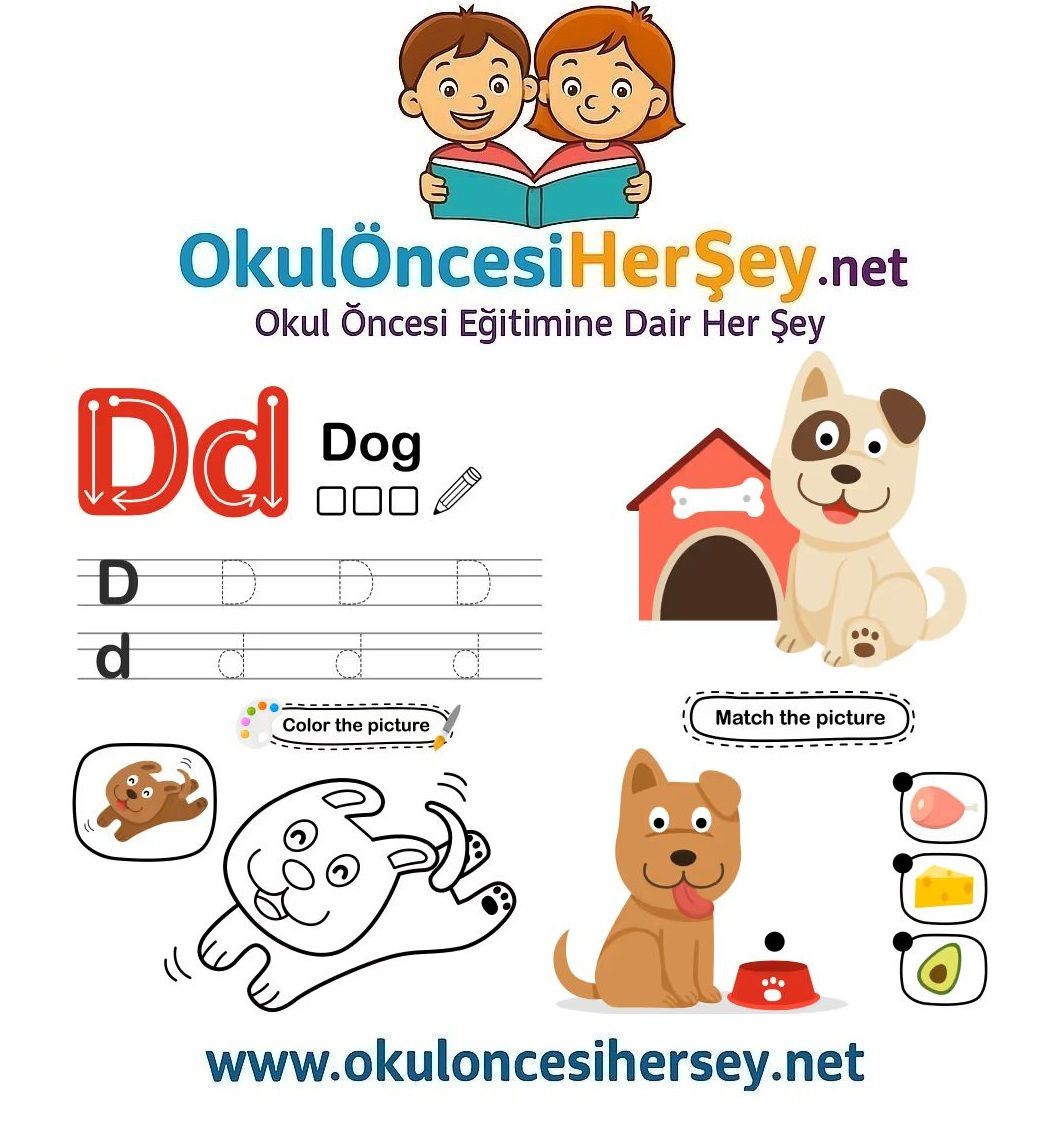 Çizgi Çalışmaları