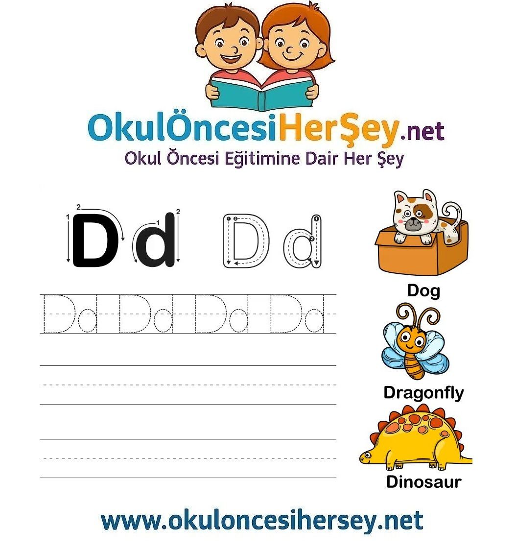 Çizgi Çalışmaları