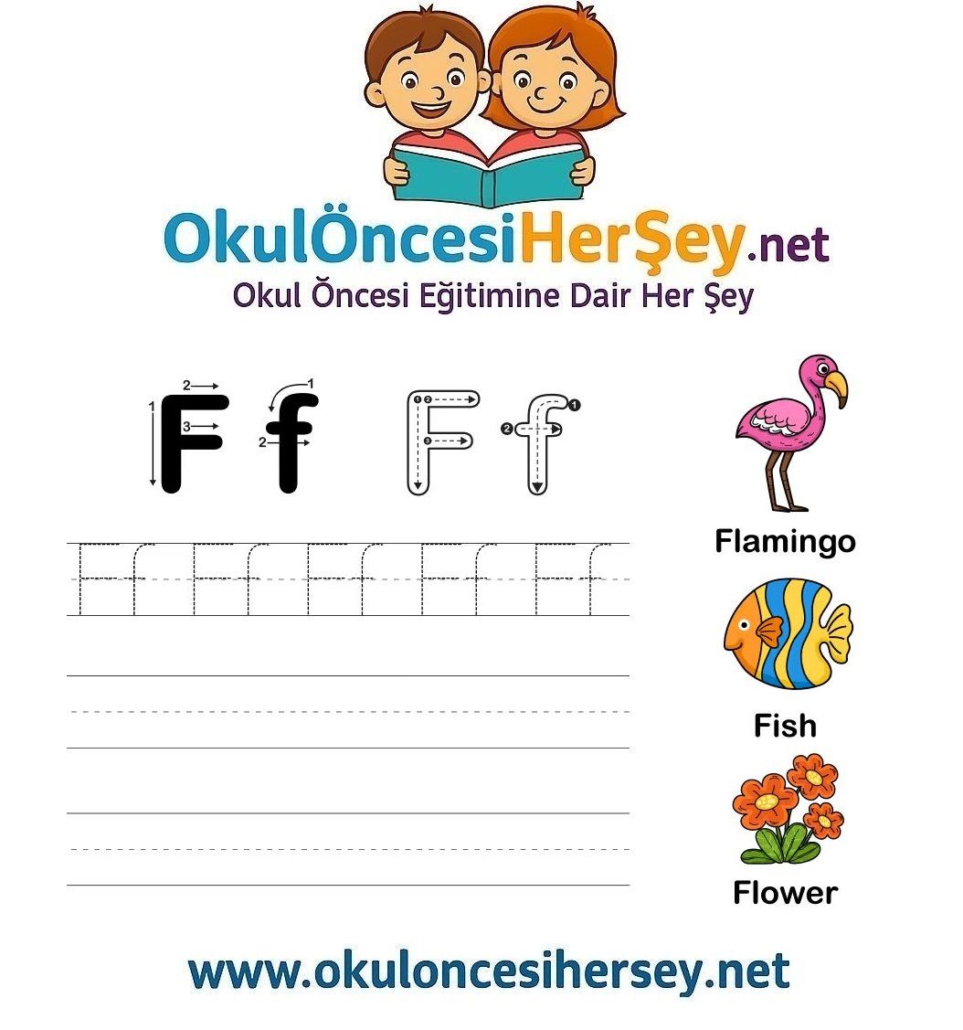 Çizgi Çalışmaları