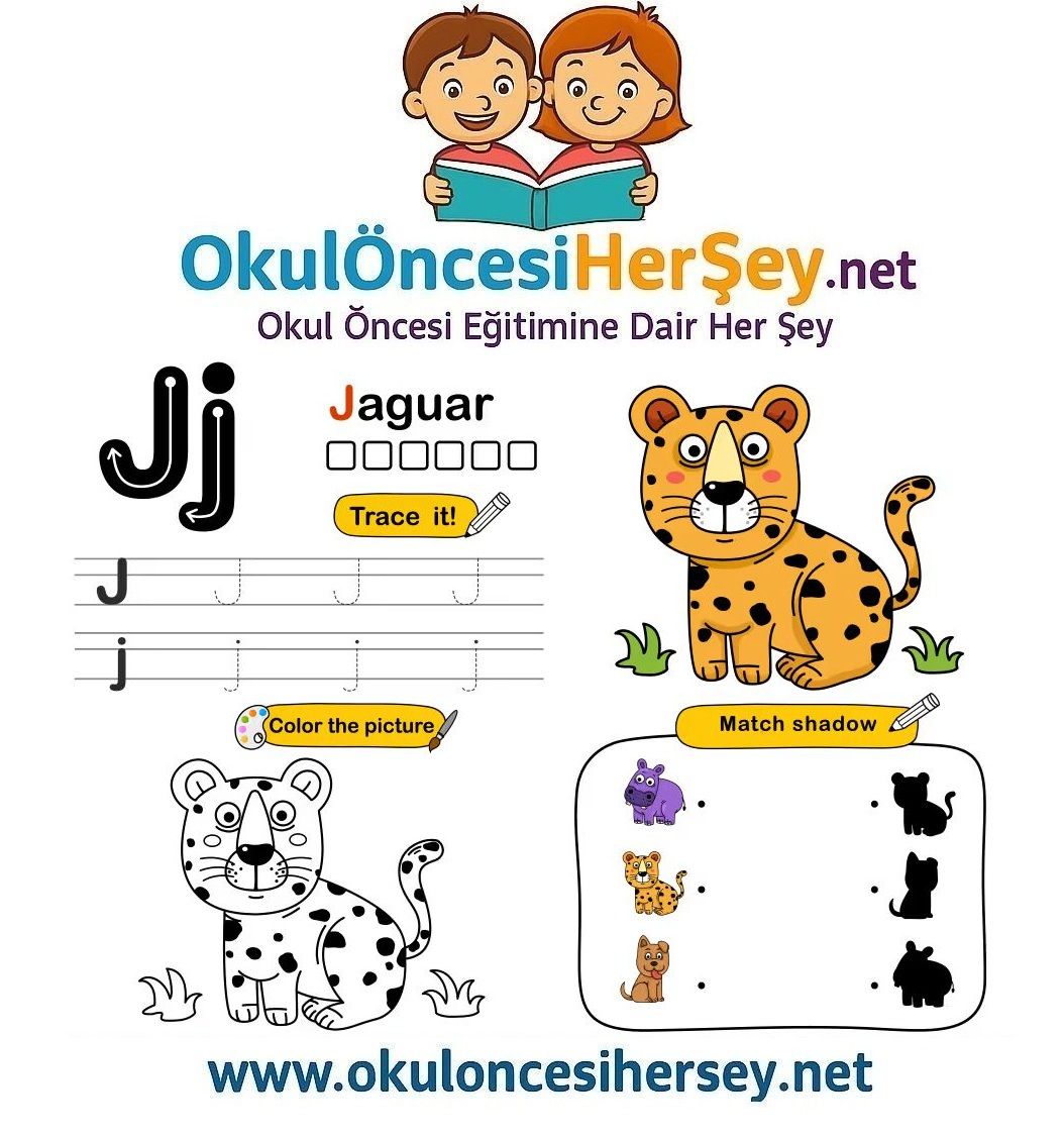 Çizgi Çalışmaları