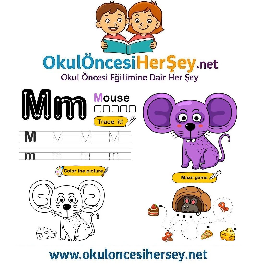 Çizgi Çalışmaları