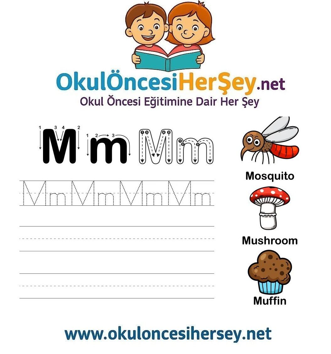 Çizgi Çalışmaları