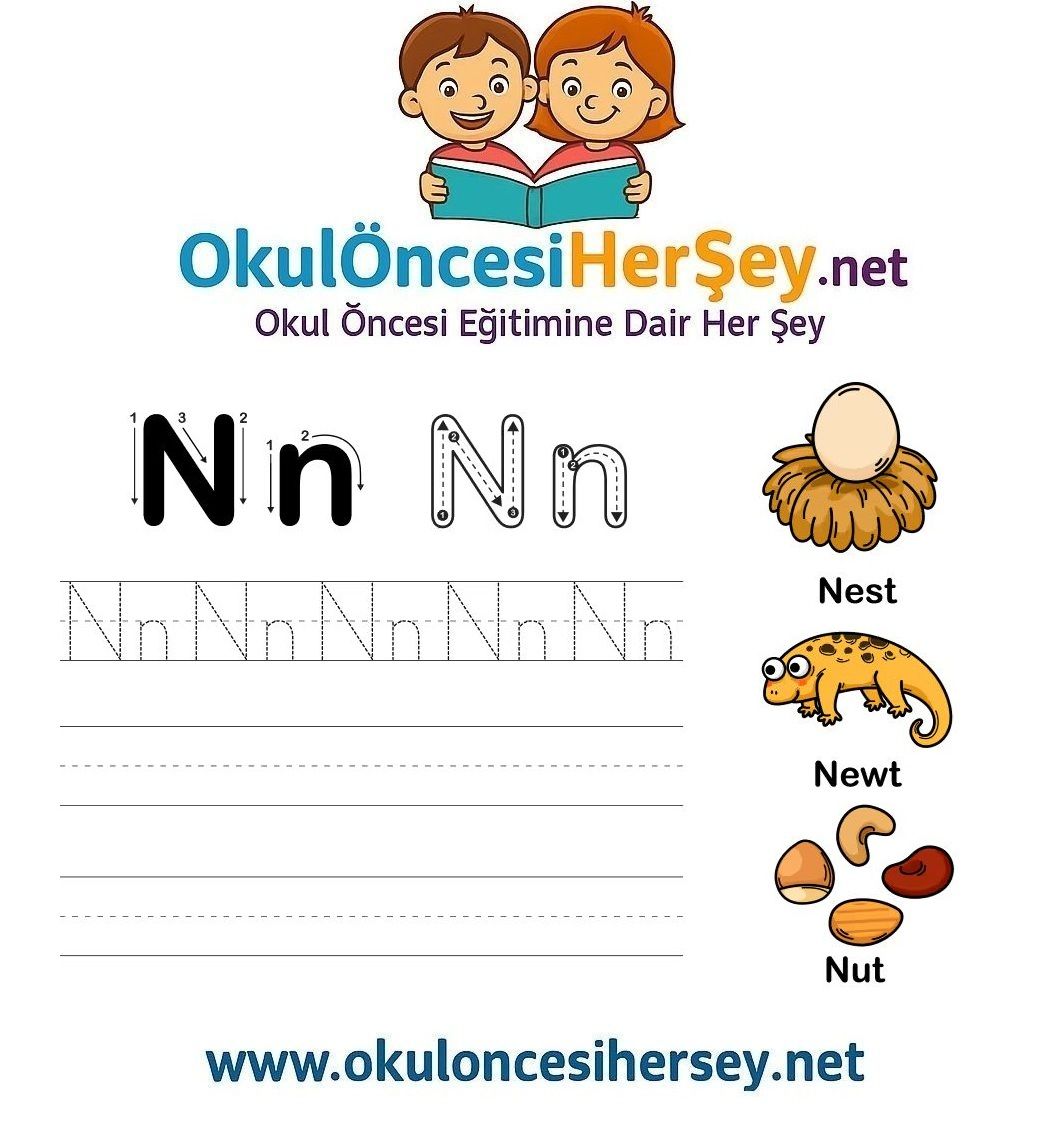 Çizgi Çalışmaları