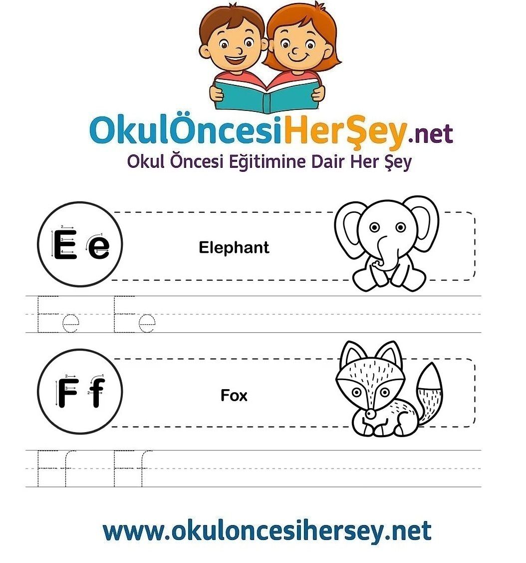 Çizgi Çalışmaları