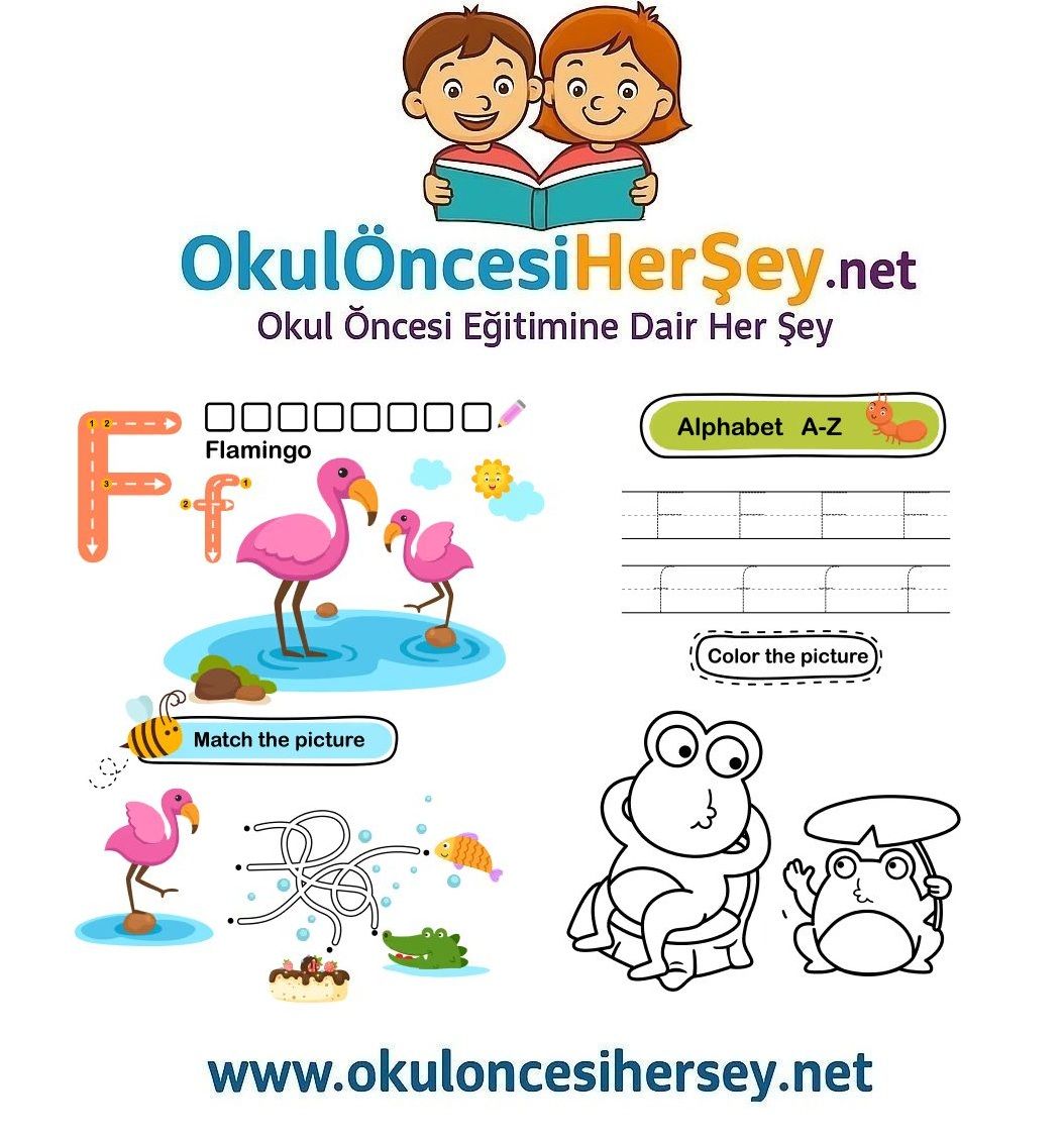 Çizgi Çalışmaları