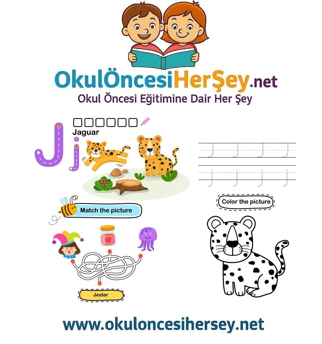 Çizgi Çalışmaları