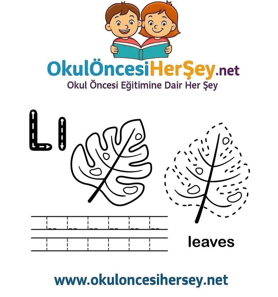 Çizgi Çalışmaları