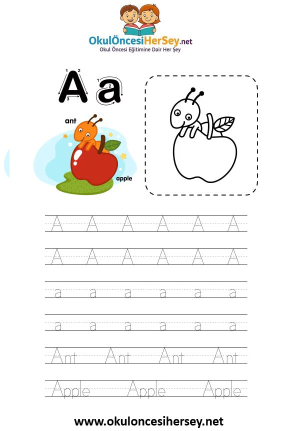 Çizgi Çalışmaları