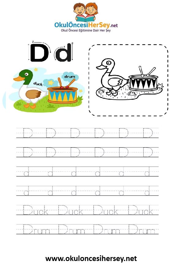 Çizgi Çalışmaları