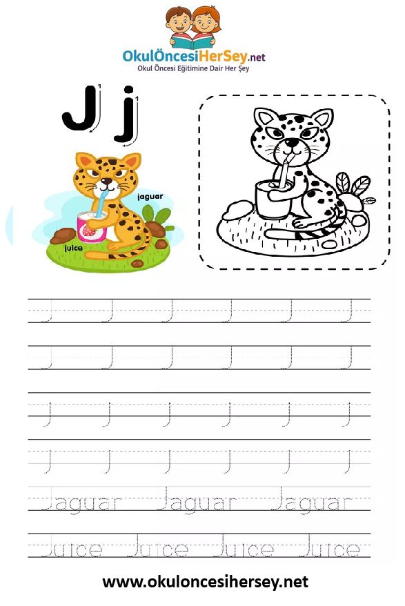 Çizgi Çalışmaları