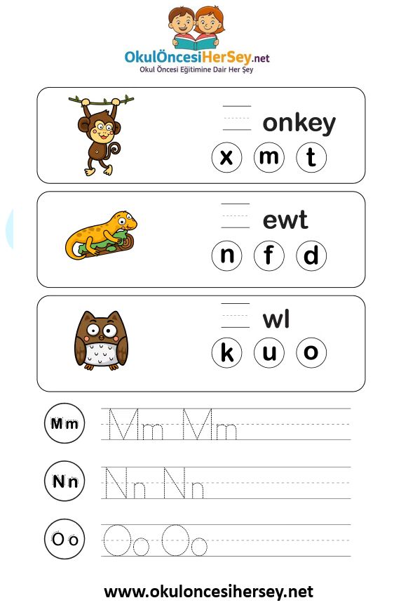 Çizgi Çalışmaları