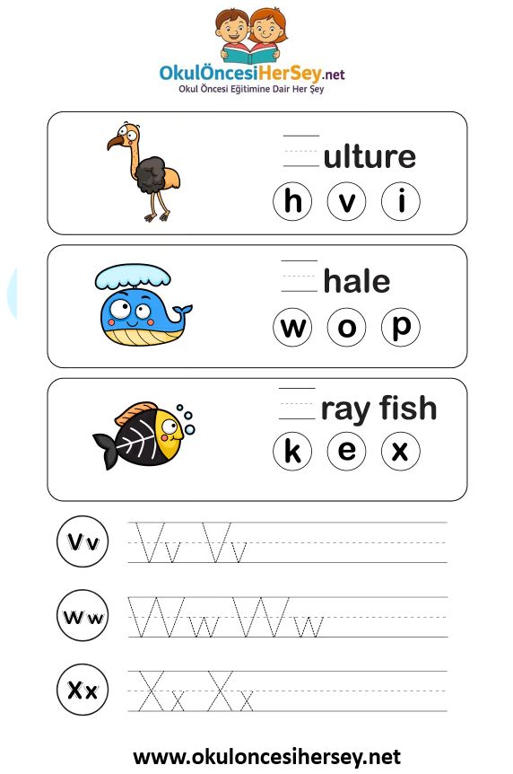 Çizgi Çalışmaları