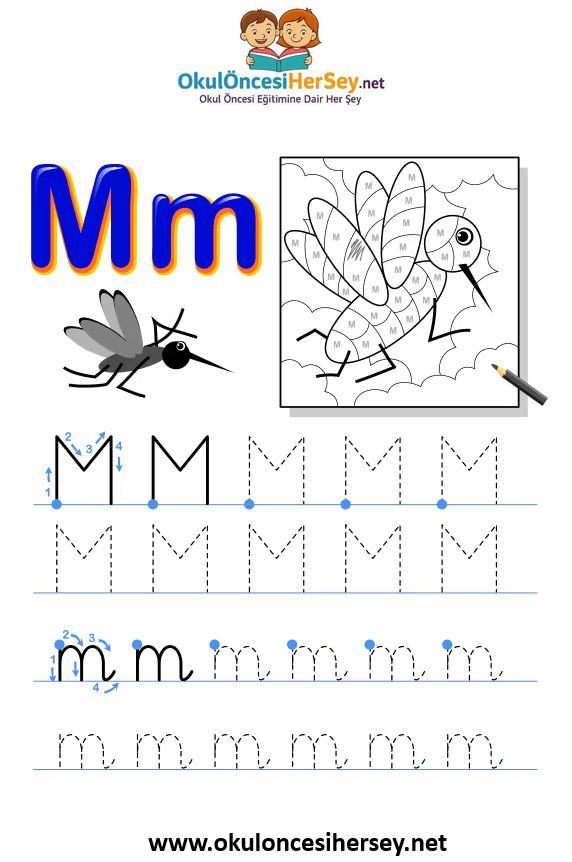 Çizgi Çalışmaları