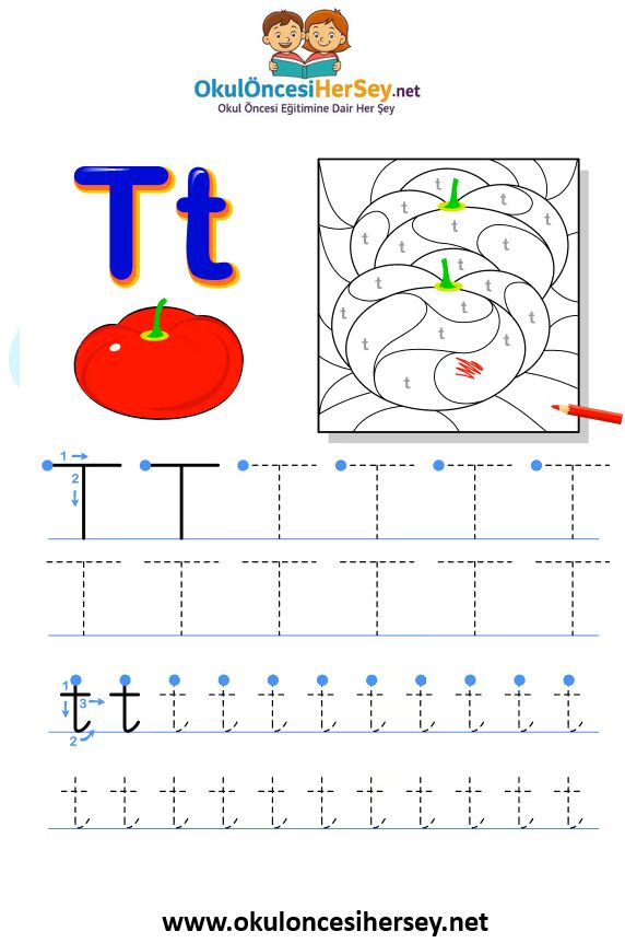 Çizgi Çalışmaları