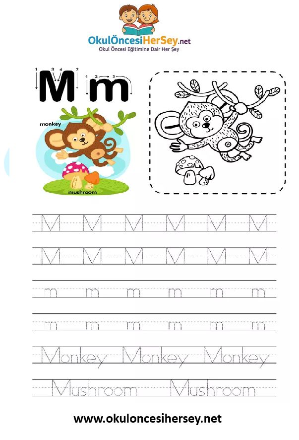 Çizgi Çalışmaları