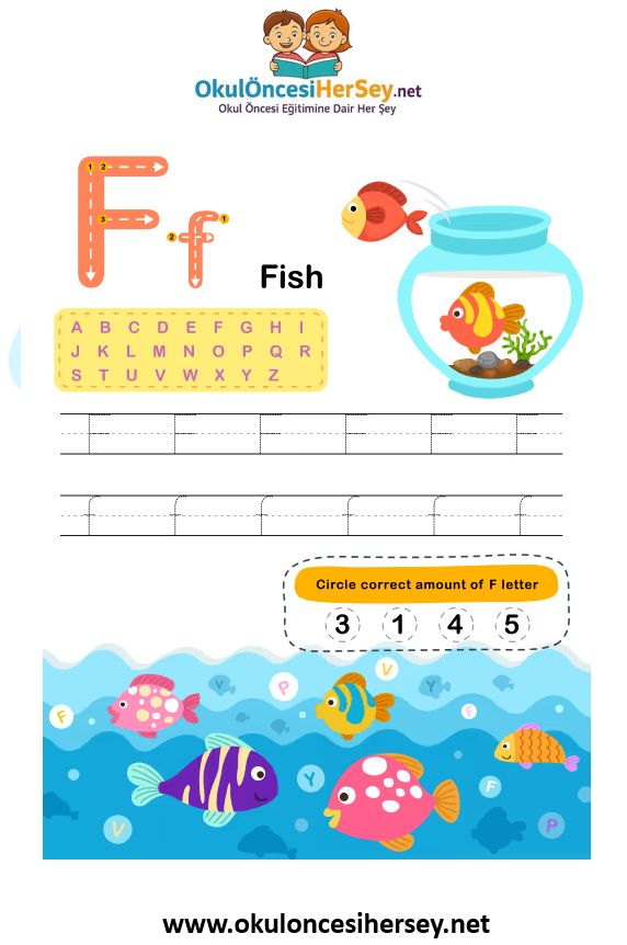 Çizgi Çalışmaları