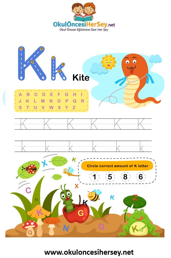 Çizgi Çalışmaları