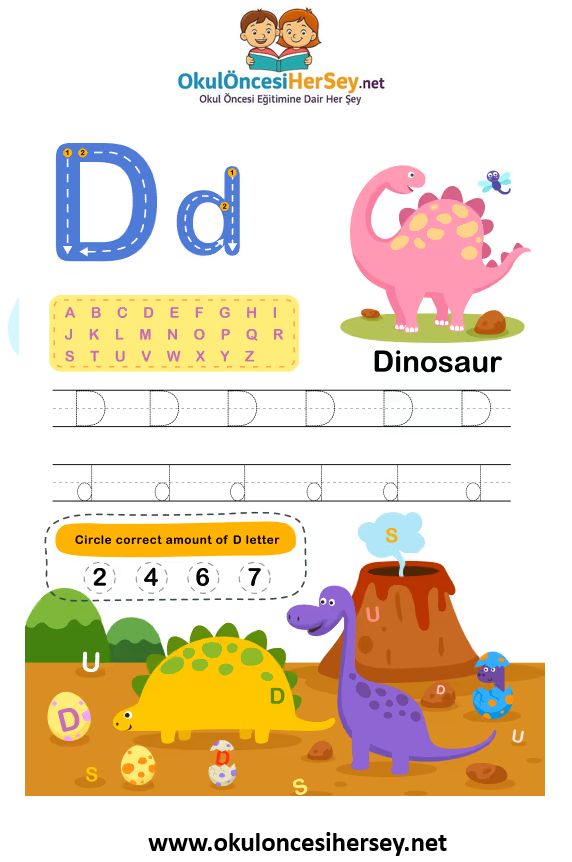 Çizgi Çalışmaları