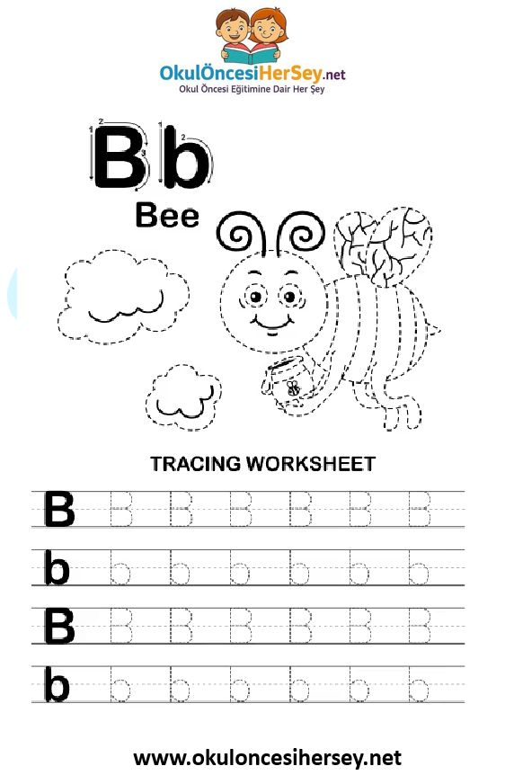 Çizgi Çalışmaları