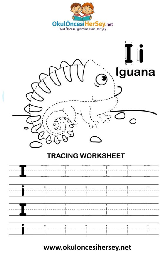 Çizgi Çalışmaları
