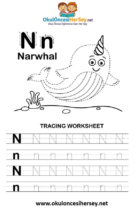 Çizgi Çalışmaları