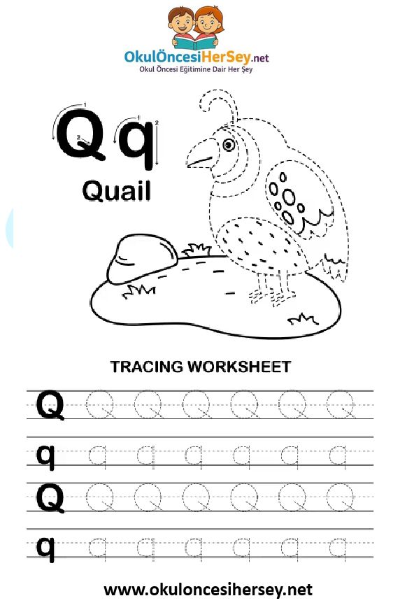 Çizgi Çalışmaları