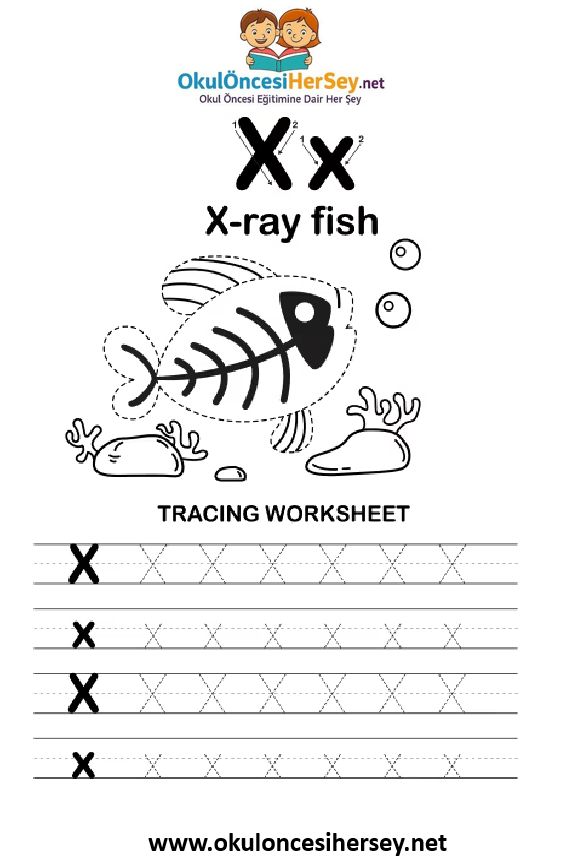 Çizgi Çalışmaları