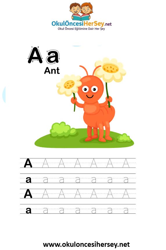Çizgi Çalışmaları