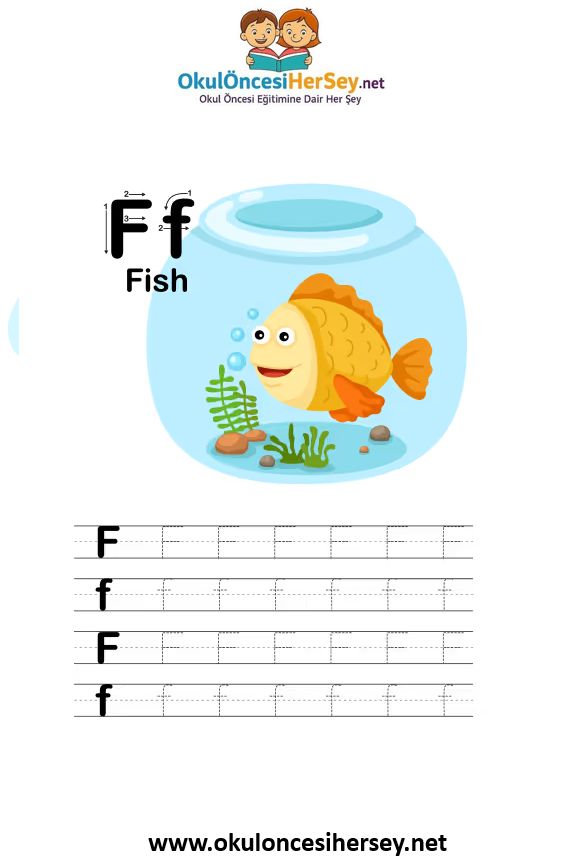 Çizgi Çalışmaları