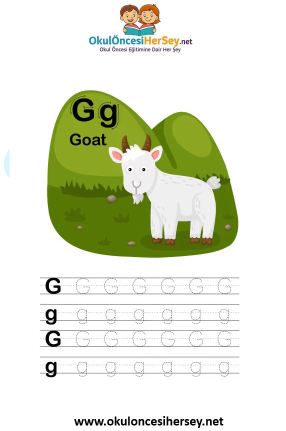 Çizgi Çalışmaları