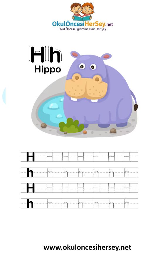 Çizgi Çalışmaları